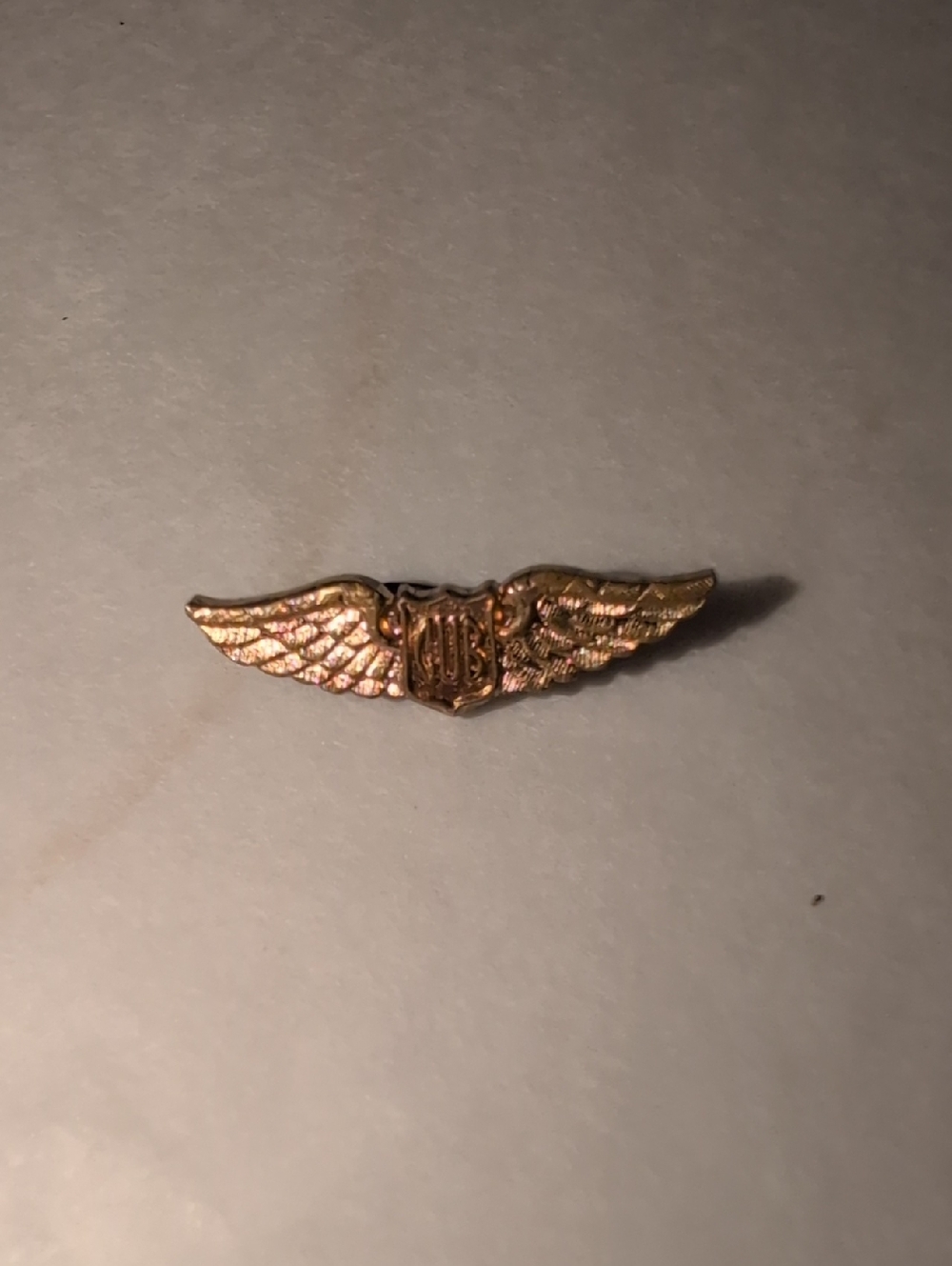 ❤️‍🔥10/$10❤️‍🔥 Cub Gold Winged Pilot/Flight Pin